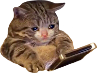 sadcat emote for Discord