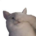 CatFacePalm emote for Discord