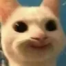cat_WeirdSmile emote for Discord
