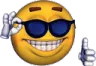 coolyes emote for Discord