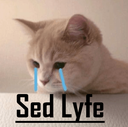sed_lyfe emote for Discord