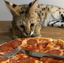 PizzerSogger emote for Discord
