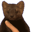 mink_dead emote for Discord