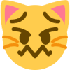 weird_feeling_cat emote for Discord