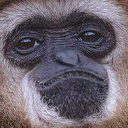 Unmonker emote for Discord