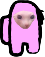 bingus_amongus emote for Discord