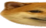 doge1 emote for Discord