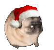 christmas_pug emote for Discord
