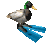 DuckWithFlippers emote for Discord