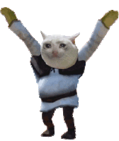 shrek_cryingcat_dance emote for Discord