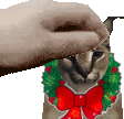 christmas_floppapet emote for Discord