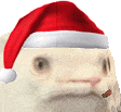 christmas_catlick emote for Discord