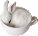 bun_cup emote for Discord
