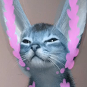 D4Cat emote for Discord