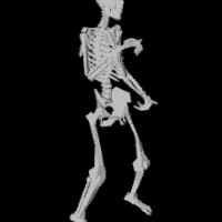 twerking_skeleton emote for Discord