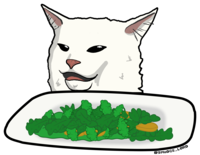 SaladCat emote for Discord