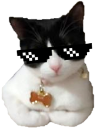 catswag emote for Discord