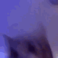 catdance emote for Discord