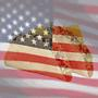 america emote for Discord