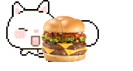Borger_cat emote for Discord