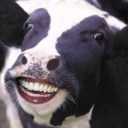 Smiling_cow emote for Discord