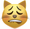 cat_lipbite emote for Discord
