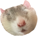 Sleeping_Rat emote for Discord