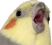 Shook_Birb emote for Discord