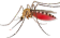 Mosquito emote for Discord