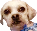 Judging_You emote for Discord