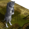 halal_cat emote for Discord