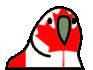 canadaBirb emote for Discord
