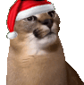christmas_floppa_yes emote for Discord