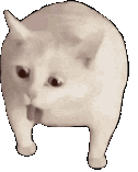 cat_trowup_full emote for Discord