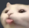 cattongue emote for Discord