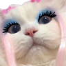 sasCat emote for Discord