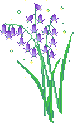 Aesthetic_Purple_Flower emote for Discord