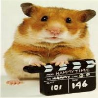 MovieHamster emote for Discord