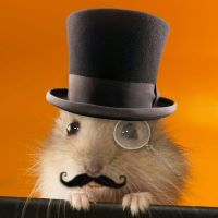 SirHamster emote for Discord