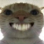cat emote for Discord
