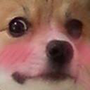 dog_blush emote for Discord
