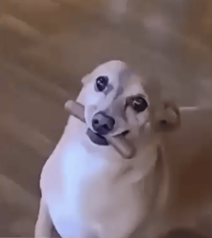 SAM emote for Discord