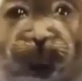 whoasked emote for Discord