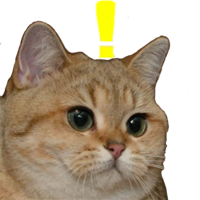 Whatcat_1 emote for Discord