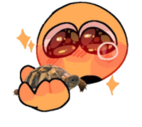 cursed_turtle emote for Discord