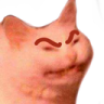 Catangry emote for Discord