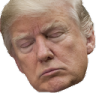 Trump_Sleeping emote for Discord