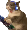 gaming_cat emote for Discord