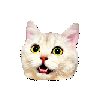 cat_surprize emote for Discord