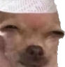 Doge_Sus emote for Discord